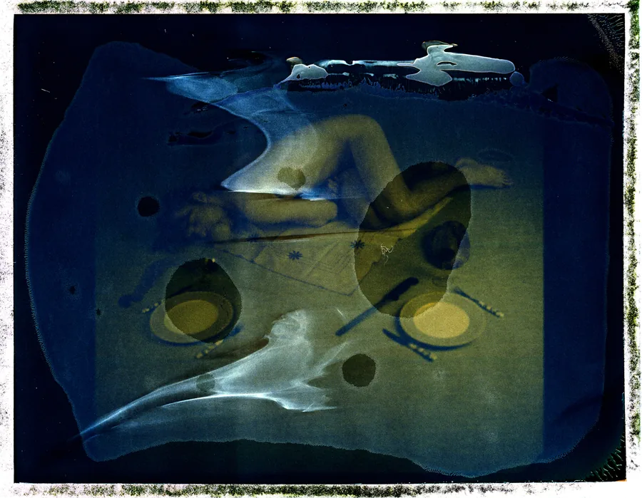 As an animal — image 2