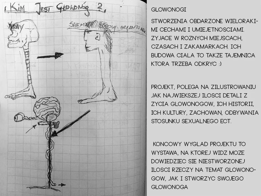 Głowonogi — Sketch and project notes